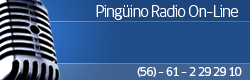 Pingüino Radio Señal en Linea