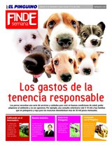 Suplemento 11/12/2010