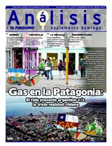Suplemento 14/11/2010