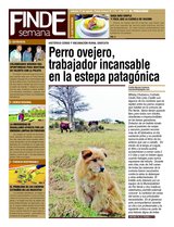 Suplemento 17/08/2013