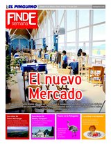 Suplemento 19/02/2011