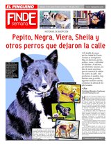 Suplemento 19/05/2012