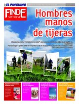 Suplemento 20/11/2010