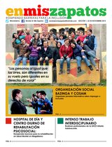 Suplemento 23/11/2015