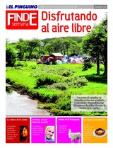 Suplemento 29/01/2011