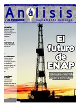 Suplemento 30/01/2011