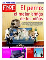 Suplemento 31/07/2010
