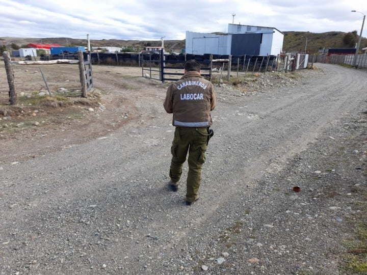 Carabineros Investiga Robo De Herramientas Elpinguino