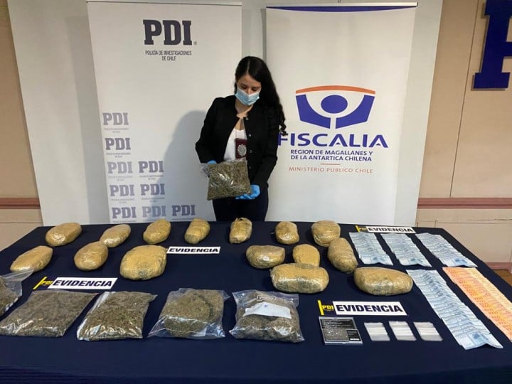 Pdi Incauta M S De Kilos De Marihuana En El Patio De Vecino De