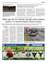 Suplemento 02-01-2022