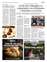 Suplemento 02-05-2025