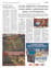 Suplemento 02-05-2025