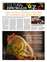 Suplemento 02-05-2025