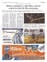 Suplemento 02-05-2025