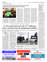 Suplemento 02-11-2020