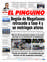 Suplemento 02-11-2021