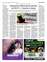 Suplemento 03-05-2025
