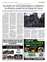 Suplemento 03-06-2025
