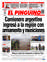 Suplemento 03-10-2021