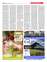 Suplemento 04-05-2025