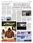 Suplemento 04-06-2025