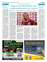 Suplemento 04-06-2025