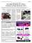 Suplemento 05-07-2025
