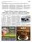 Suplemento 05-07-2025
