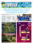 Suplemento 05-08-2025