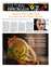 Suplemento 06-06-2025