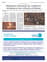 Suplemento 07-07-2025