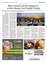Suplemento 07-07-2025