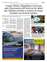 Suplemento 07-08-2025