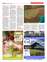 Suplemento 08-06-2025
