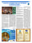 Suplemento 09-06-2024