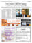 Suplemento 10-05-2025