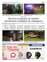 Suplemento 11-05-2025