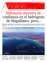 Suplemento 11-05-2025