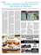 Suplemento 11-05-2025