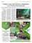 Suplemento 11-08-2025