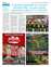 Suplemento 11-08-2025