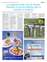 Suplemento 12-04-2025