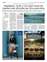 Suplemento 12-05-2025