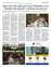 Suplemento 12-05-2025