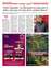 Suplemento 12-08-2025