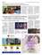 Suplemento 13-05-2025