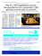 Suplemento 13-07-2025
