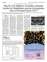 Suplemento 13-07-2025