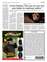 Suplemento 14-05-2025