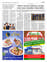 Suplemento 14-06-2025